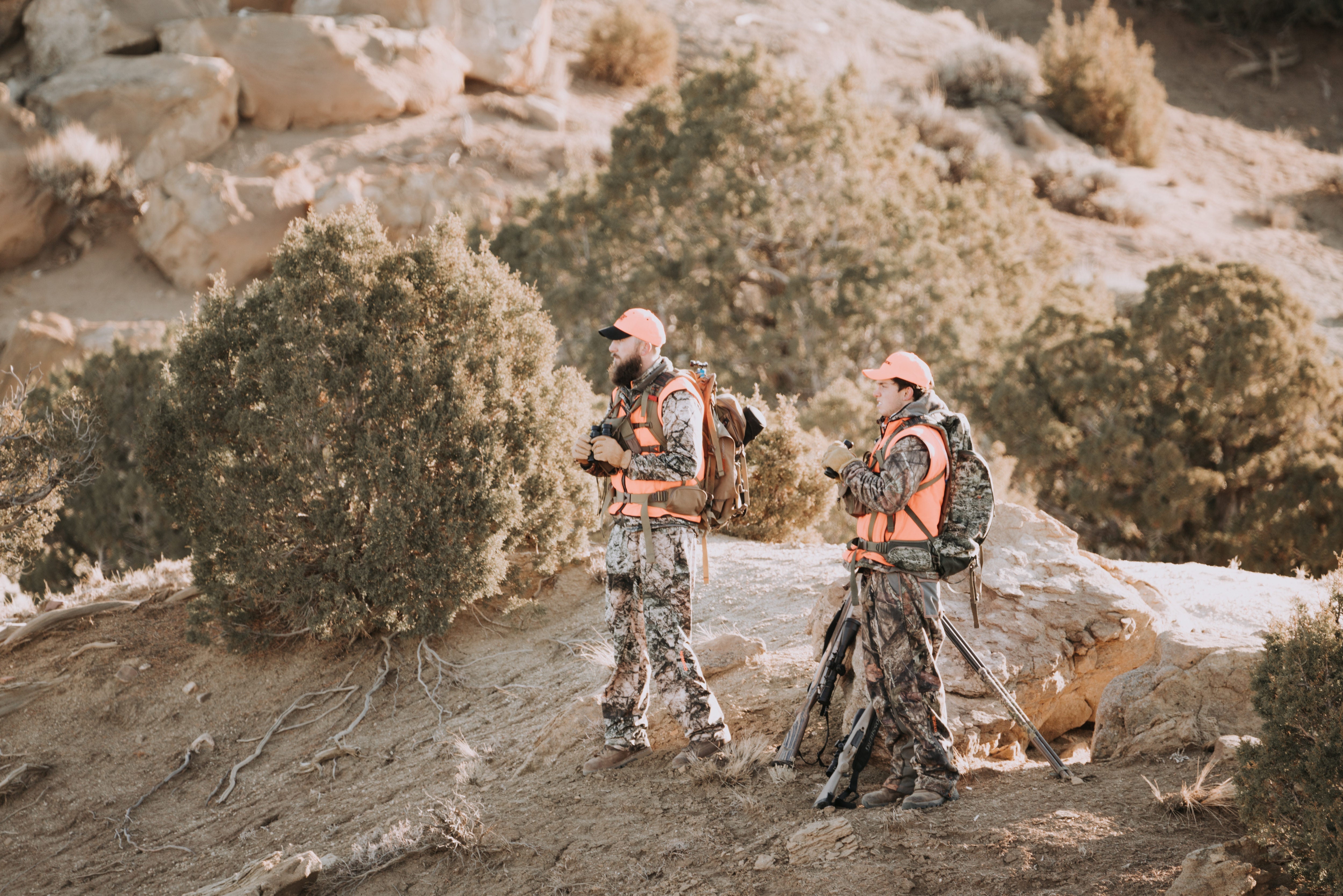 Hunting For Colorado Mule Deer