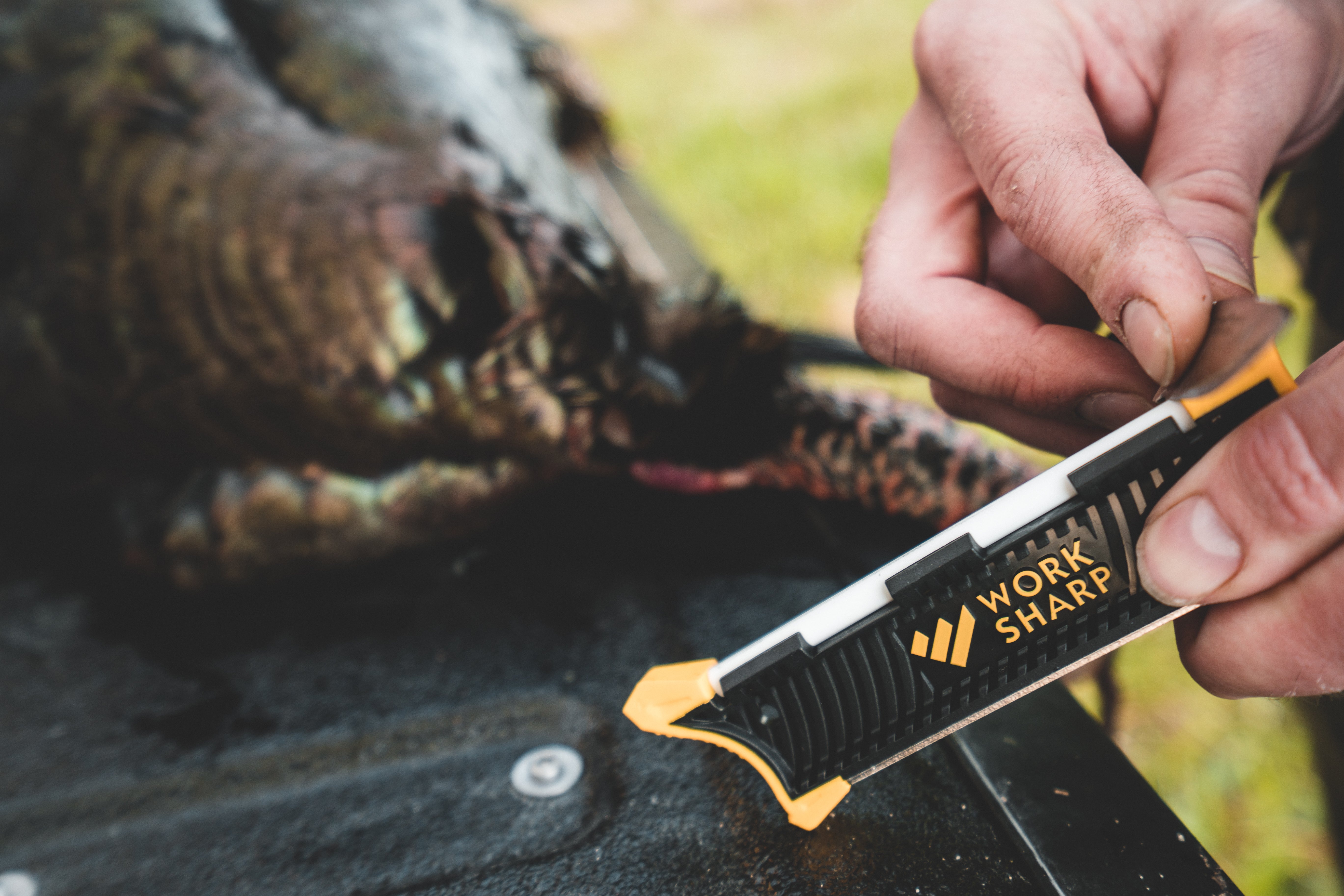 Turkey Hunting