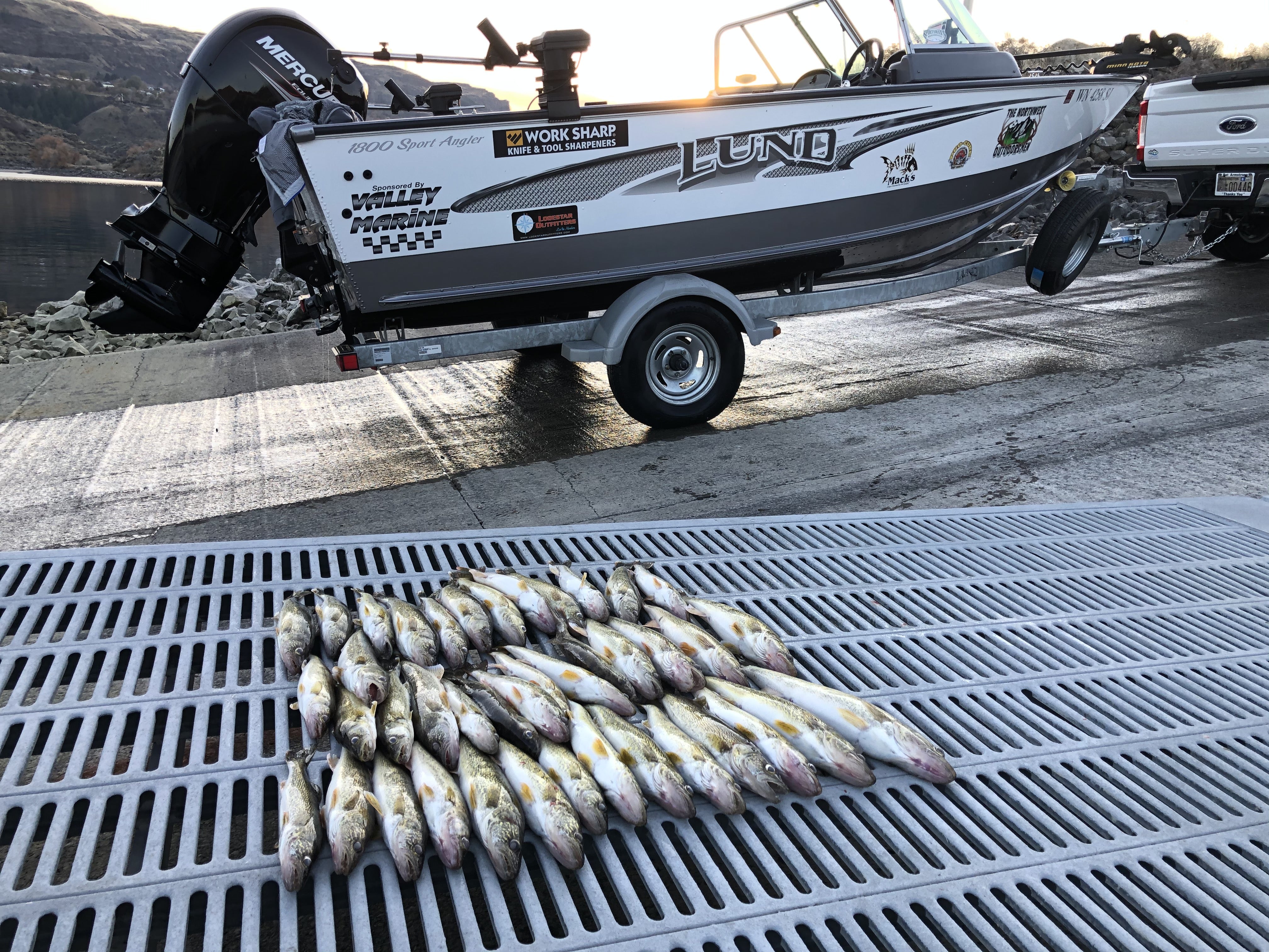 Sharp Matters For Fishermen : Walleye