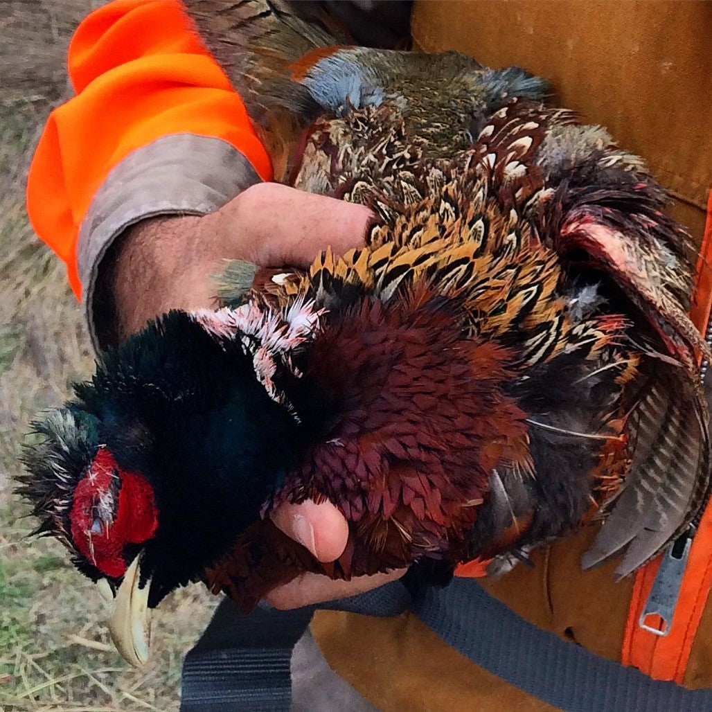How to Find the Perfect Pheasant-Hunting Shotgun